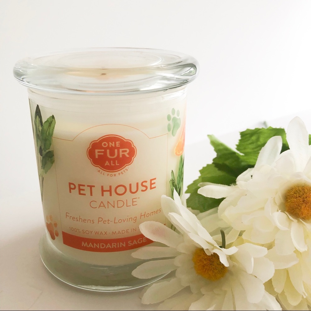 Brand New Pet-Safe Candle • Mandarin Sage Scent